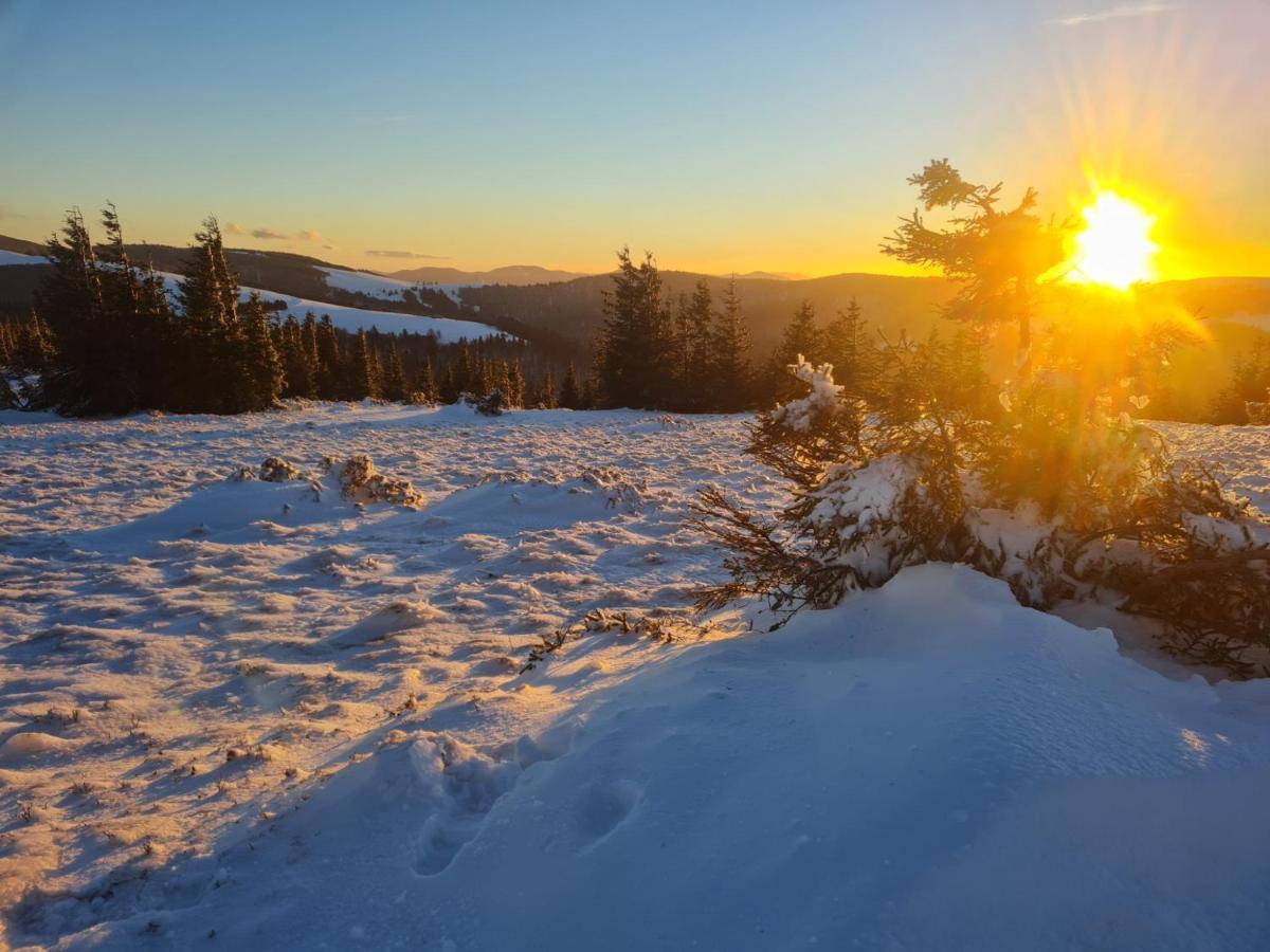 Spacieux Et Confortables Gites A Proximite Randonnees, Lacs, Ski Nature Sondernach المظهر الخارجي الصورة