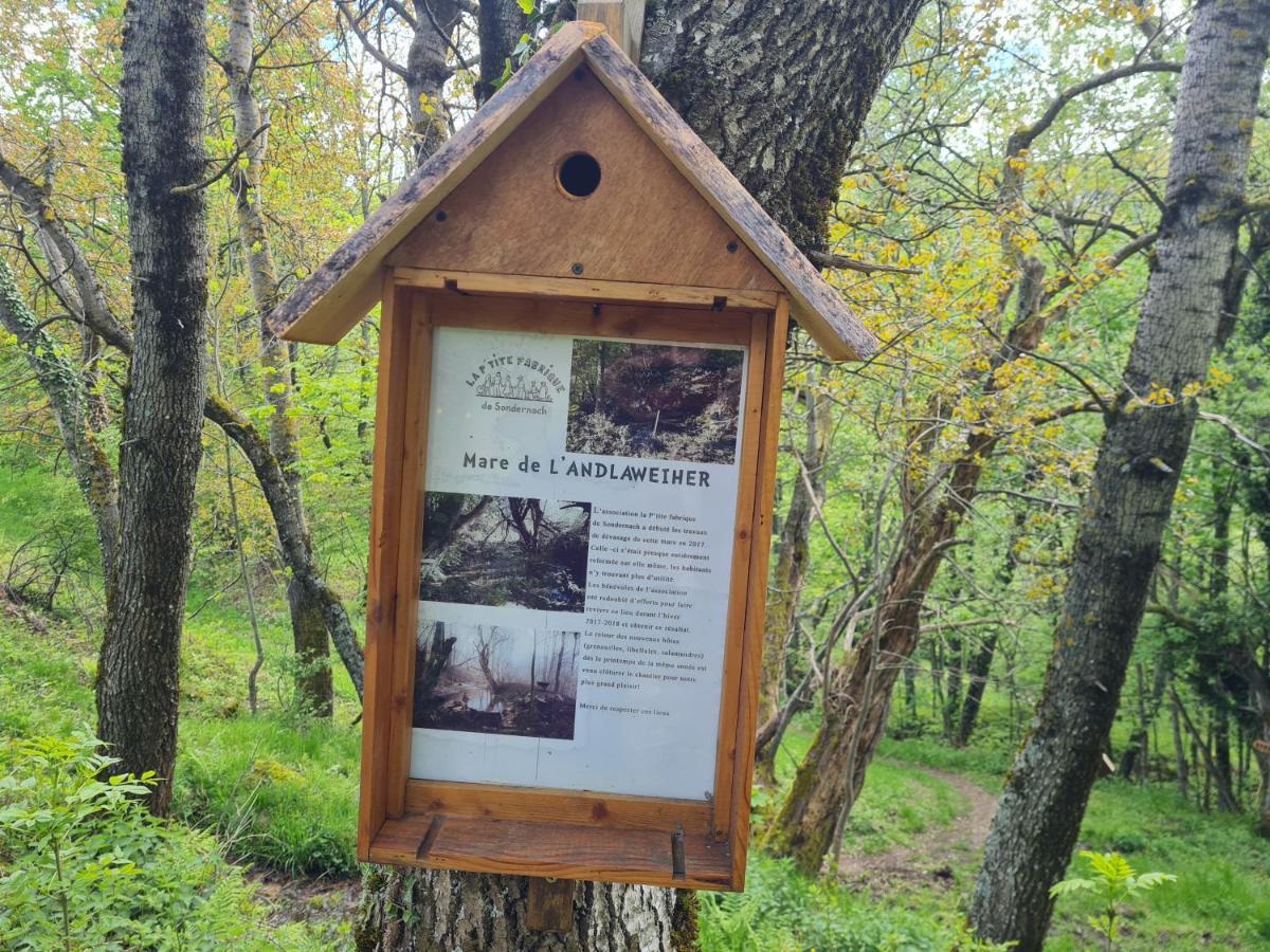 Spacieux Et Confortables Gites A Proximite Randonnees, Lacs, Ski Nature Sondernach المظهر الخارجي الصورة