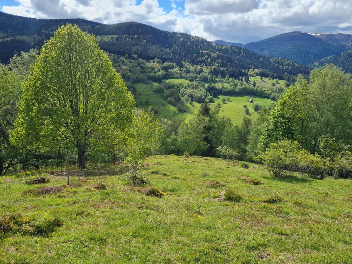 Spacieux Et Confortables Gites A Proximite Randonnees, Lacs, Ski Nature Sondernach المظهر الخارجي الصورة