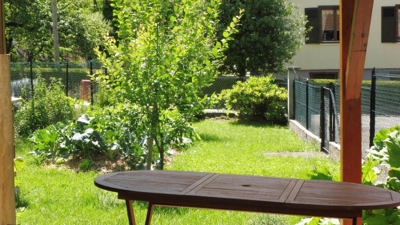 Spacieux Et Confortables Gites A Proximite Randonnees, Lacs, Ski Nature Sondernach المظهر الخارجي الصورة
