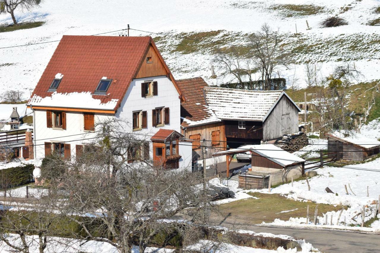 Spacieux Et Confortables Gites A Proximite Randonnees, Lacs, Ski Nature Sondernach المظهر الخارجي الصورة
