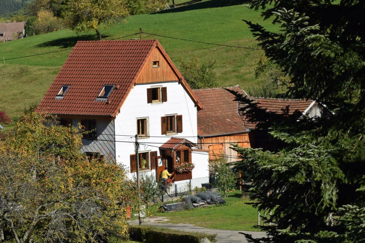 Spacieux Et Confortables Gites A Proximite Randonnees, Lacs, Ski Nature Sondernach المظهر الخارجي الصورة