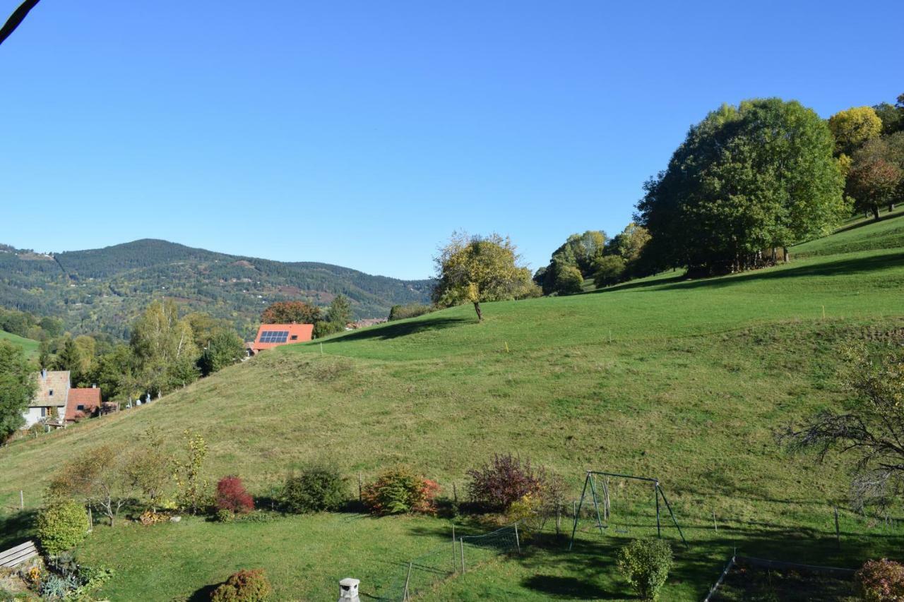 Spacieux Et Confortables Gites A Proximite Randonnees, Lacs, Ski Nature Sondernach المظهر الخارجي الصورة
